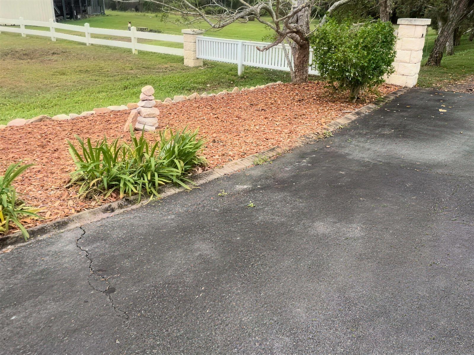 Mulched garden bed with new plants by the driveway