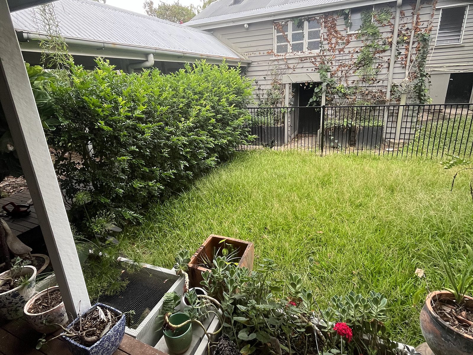 Backyard before the tidy-up