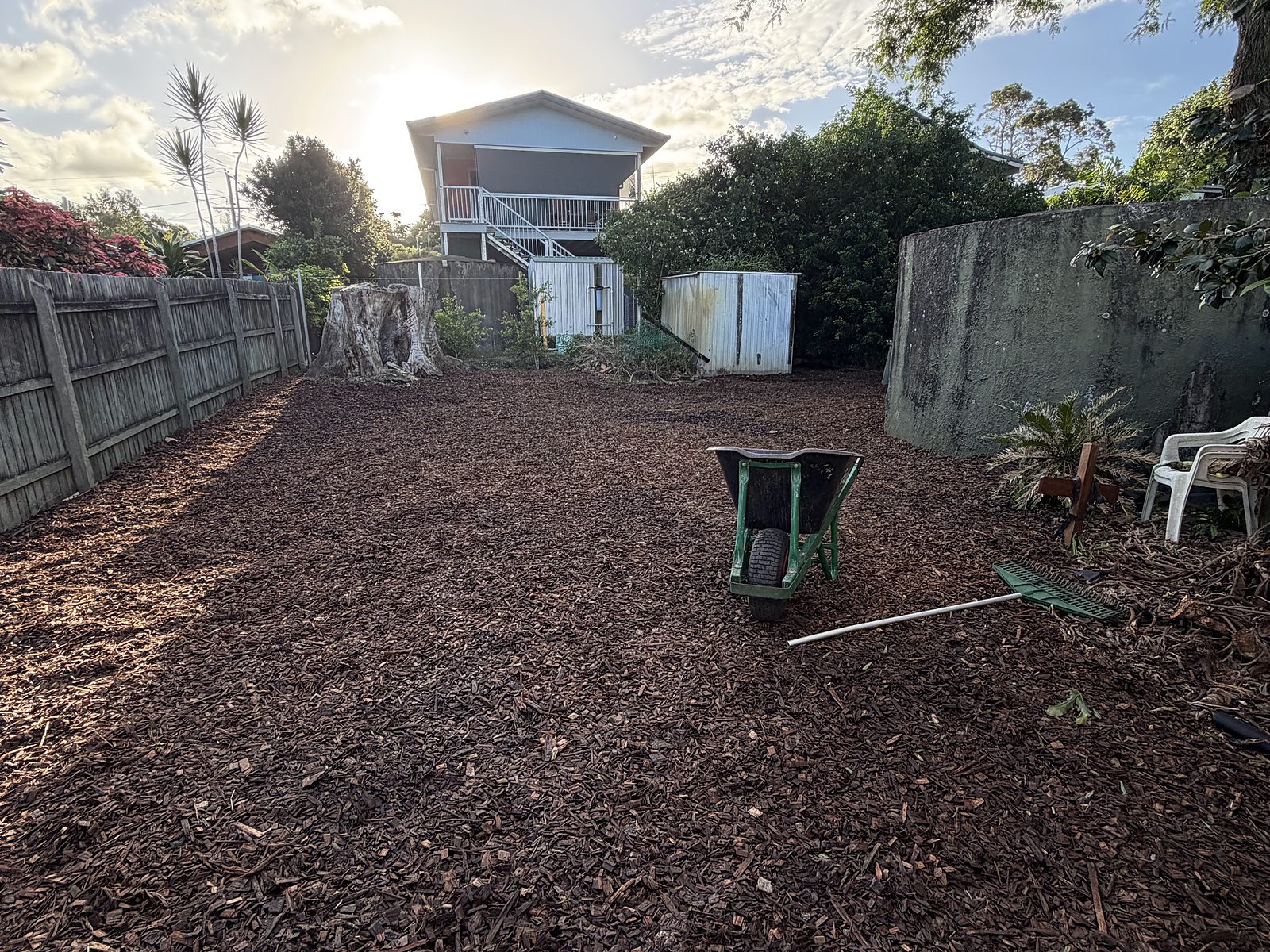 Backyard cleared and mulched