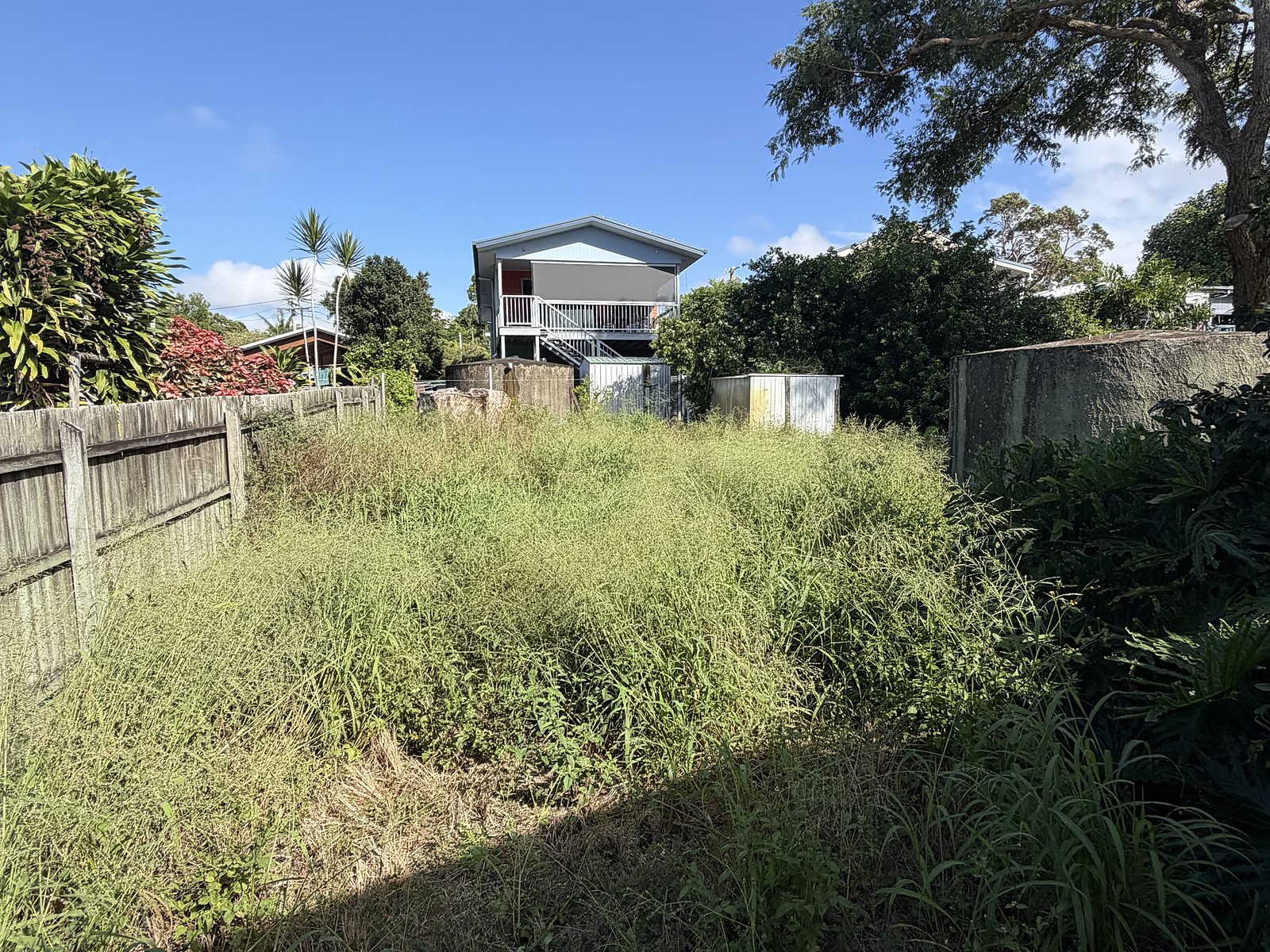 Backyard overgrown with long grass
