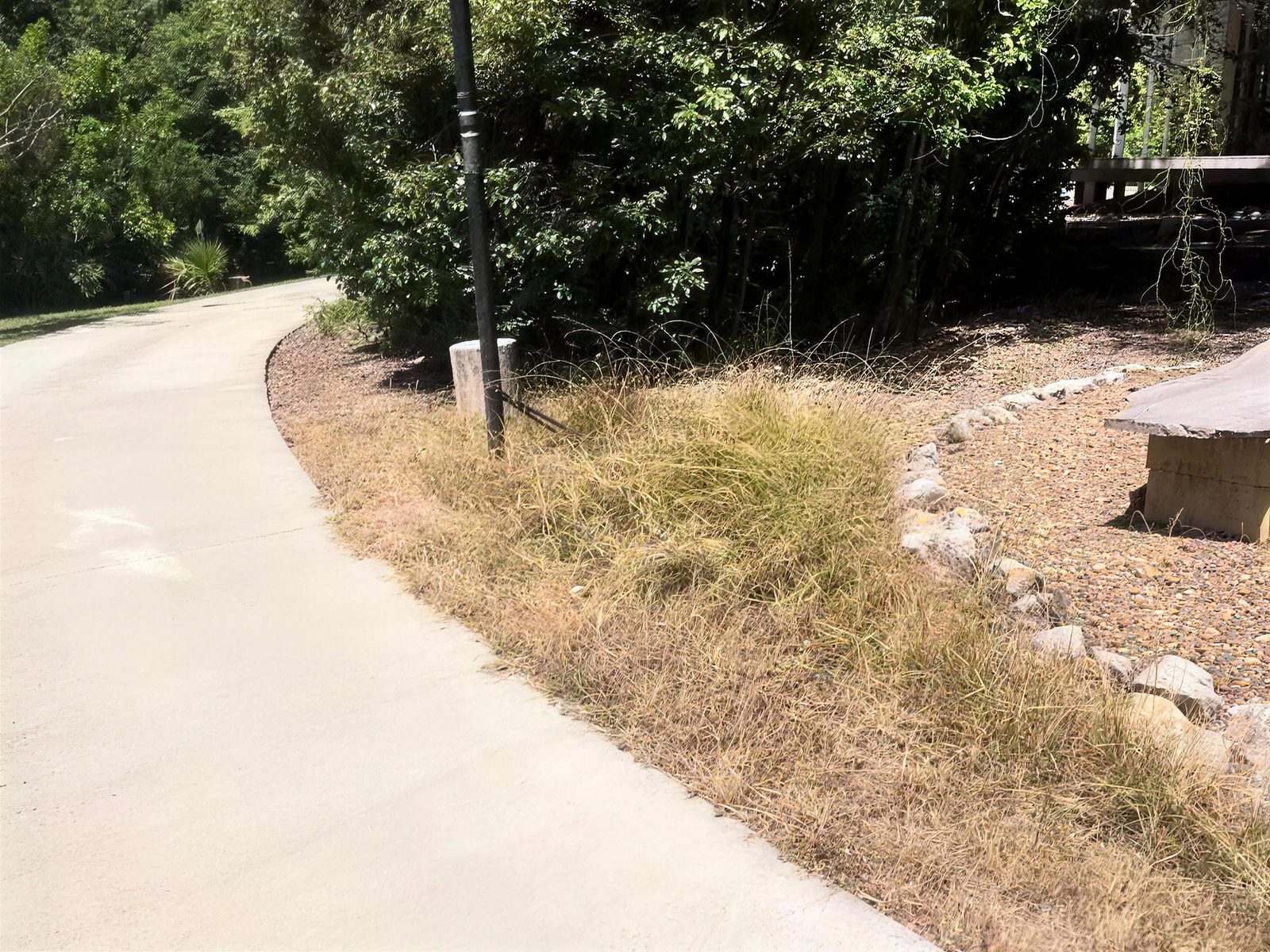 Dry, overgrown garden bed beside the driveway