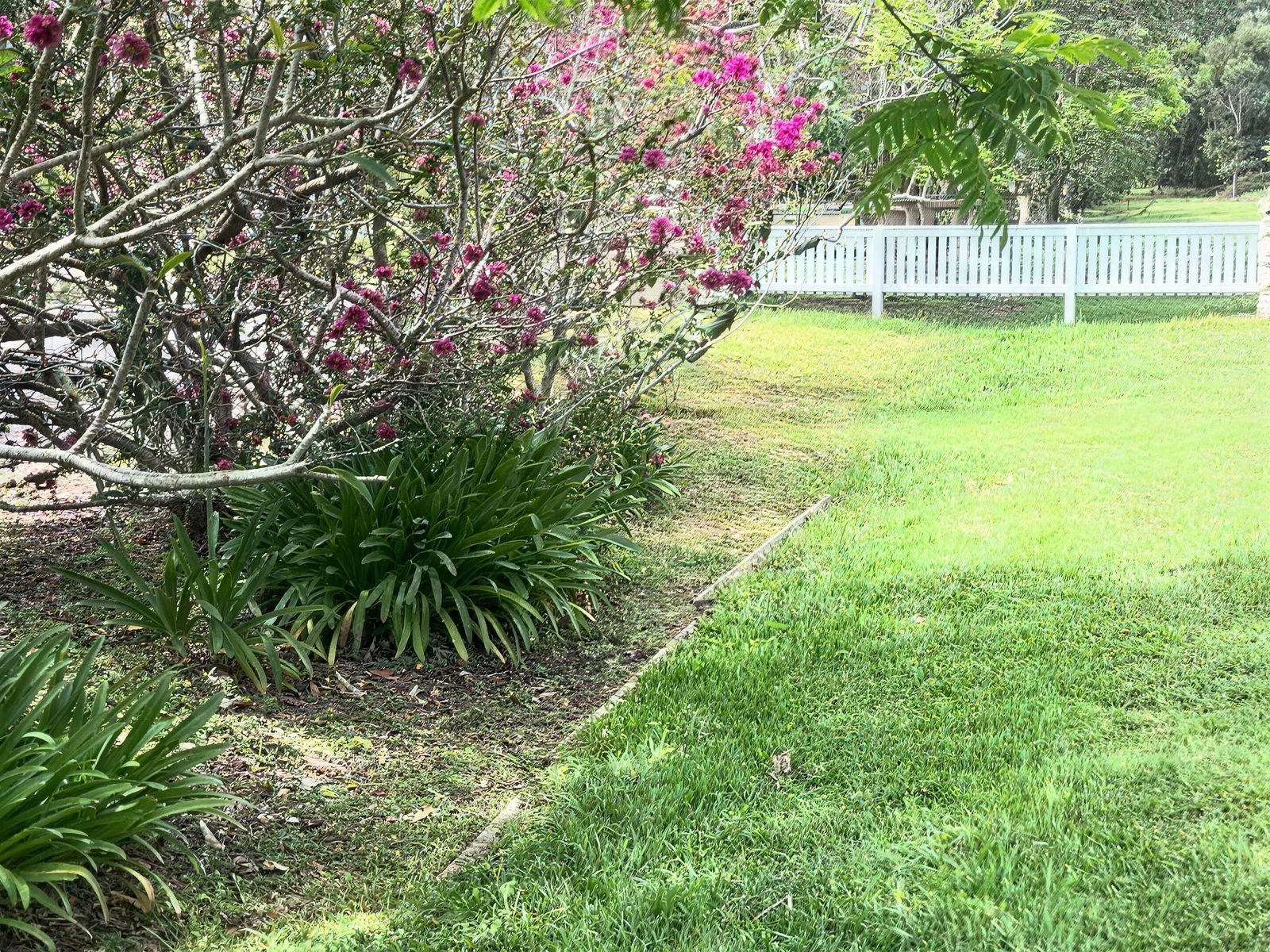 Garden bed with no edging before the job