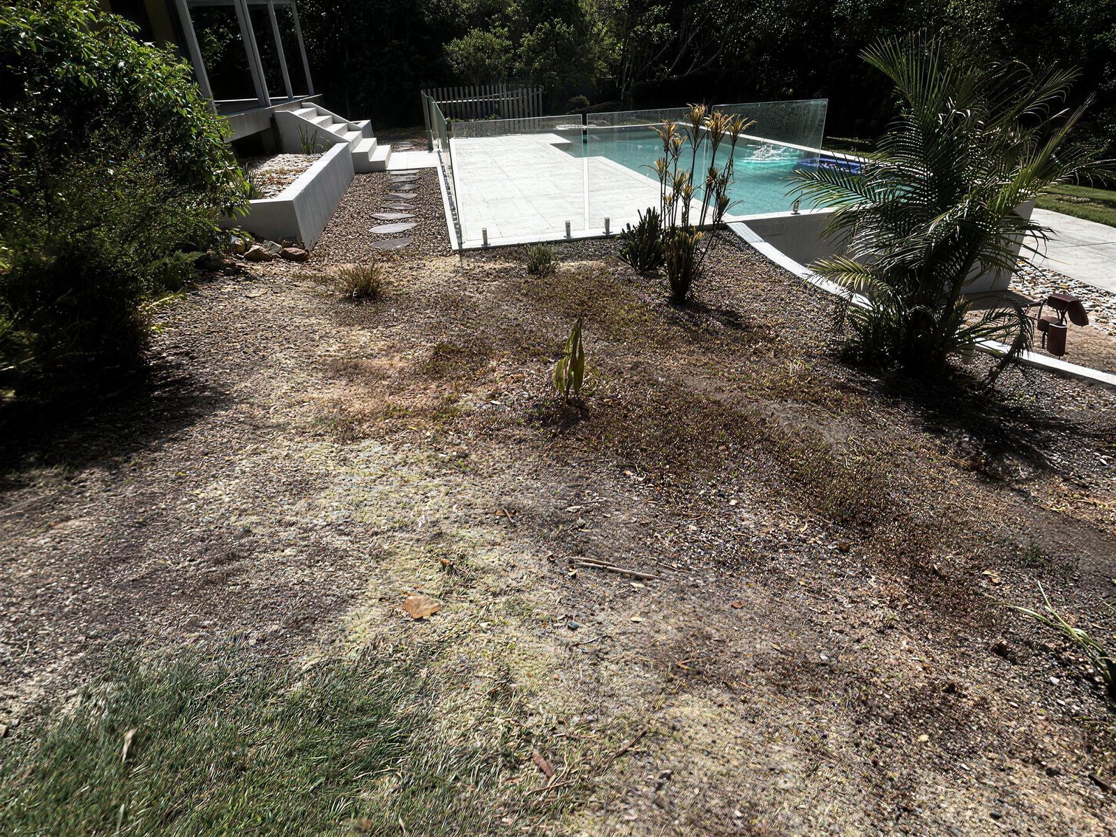 Dead, patchy lawn by the pool before the job