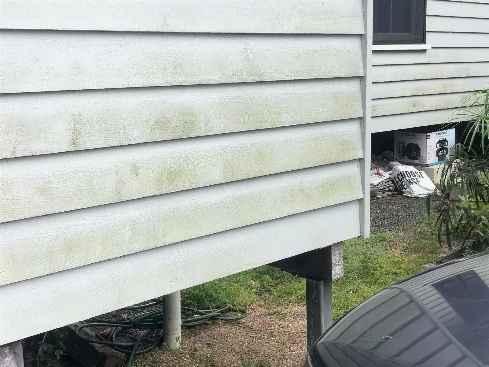 Mouldy weatherboards and weeds beside the house before the clean-up