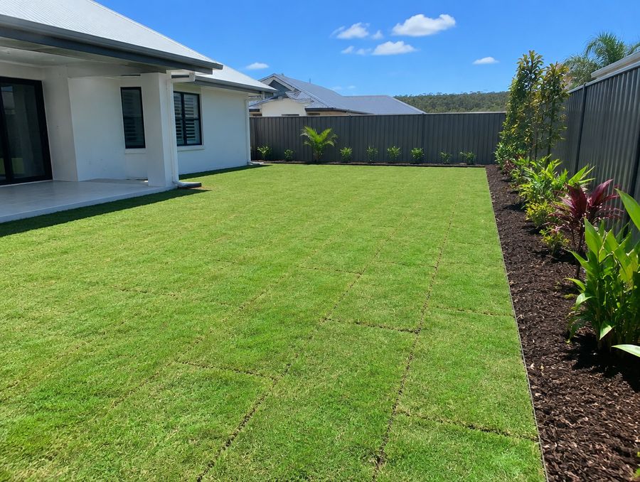 Newly laid turf in a backyard