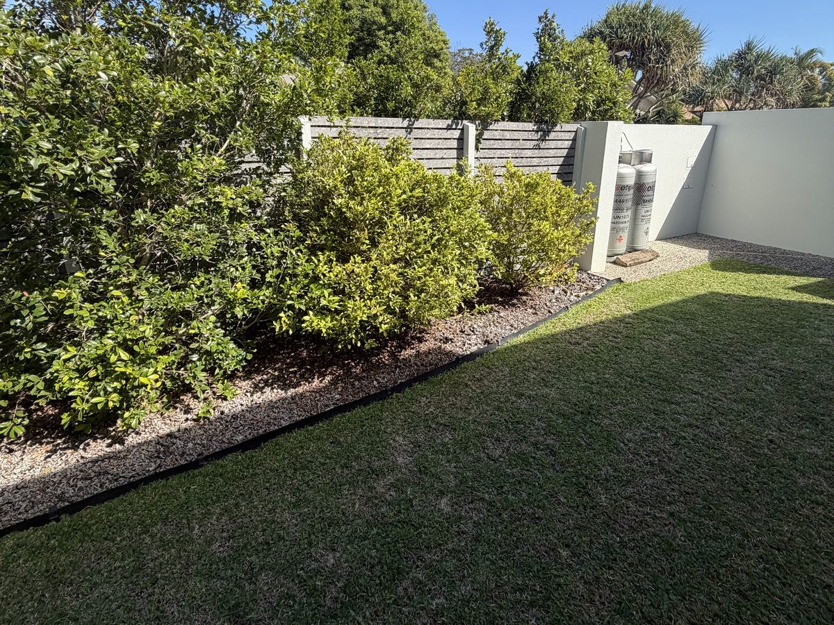 Neat backyard lawn and garden